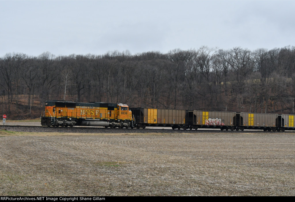 BNSF 8838 Roster shot